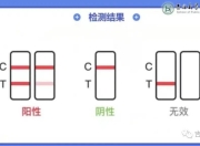 猛龙队球员获得新冠检测阴性结果的简单介绍