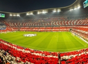 谷爱凌赛点兑现，明尼苏达森林狼淘汰北京国安晋级四强，主帅激动落泪(明尼苏达留学生小林鹏)